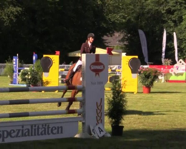 Springpferd Castilla (Holsteiner, 2007, von Cassini I)