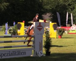 Springpferd Castilla (Holsteiner, 2007, von Cassini I)