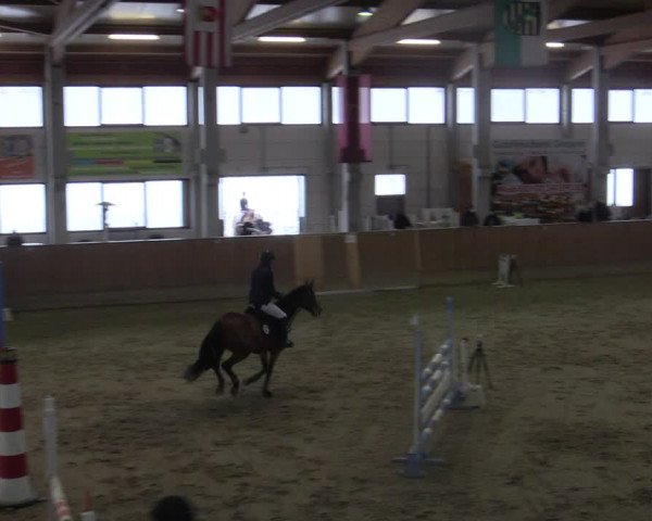 Reitturnier Prussendorf 2021