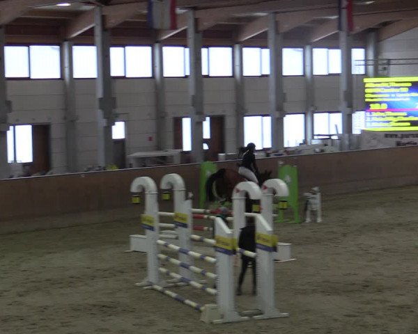 Reitturnier Prussendorf 2021