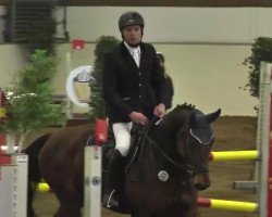jumper Quirin 26 (Oldenburg, 2007, from Quidam's Rubin)
