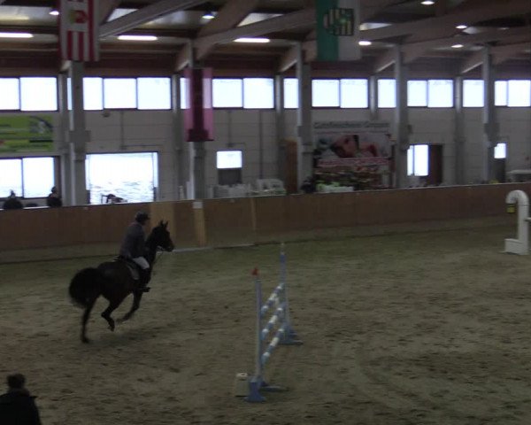 Reitturnier Prussendorf 2021