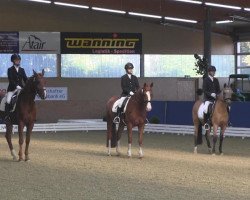 jumper Coco Chanel 176 (Hanoverian, 2007, from Now Or Never M)