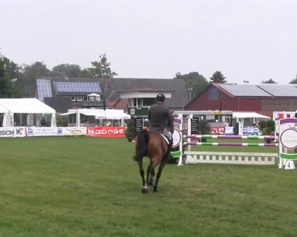 jumper Bruce Darnell S (Oldenburg, 2008, from Baloubet du Rouet)