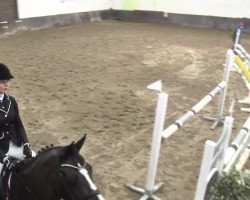 broodmare Laskara 6 (Hanoverian, 2007, from Locksley II)
