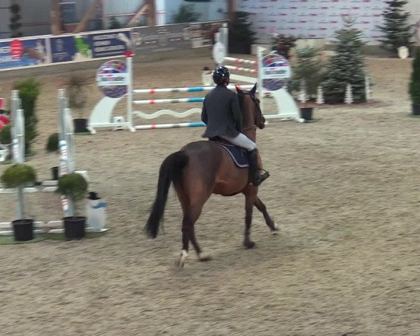 Reitturnier Negernbötel 2021, 9. Nordic Jumping event 2020/2021