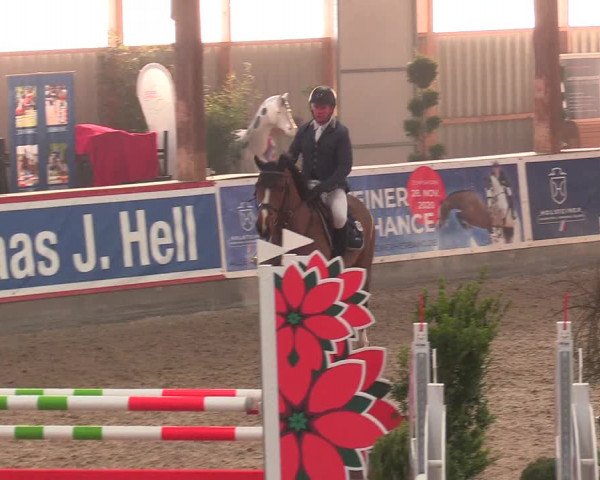 Reitturnier Negernbötel 2021, 9. Nordic Jumping event 2020/2021