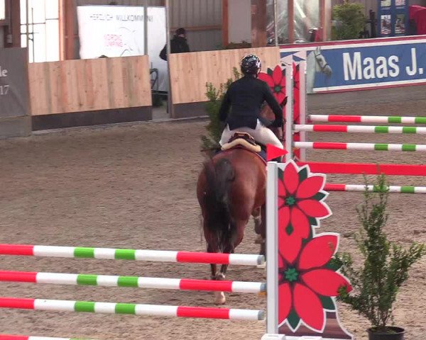 Reitturnier Negernbötel 2021, 9. Nordic Jumping event 2020/2021