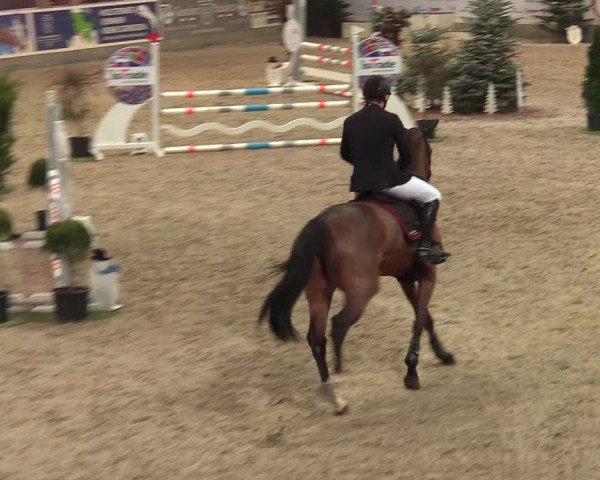Reitturnier Negernbötel 2021, 9. Nordic Jumping event 2020/2021