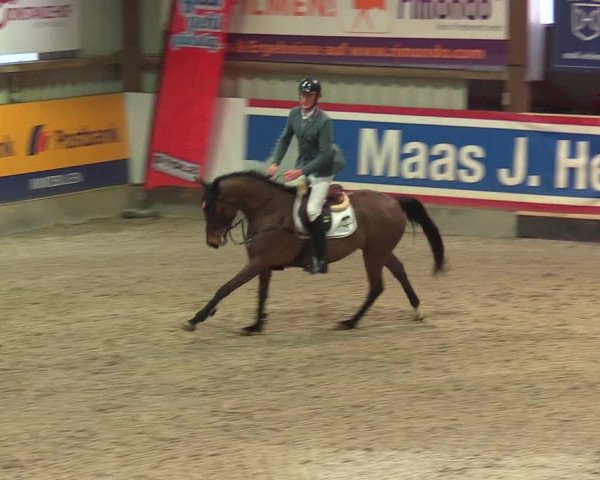 Reitturnier Negernbötel 2021, 9. Nordic Jumping event 2020/2021