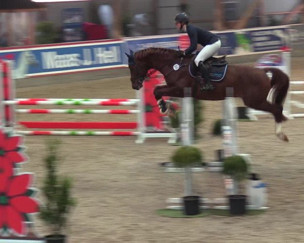 Reitturnier Negernbötel 2021, 9. Nordic Jumping event 2020/2021