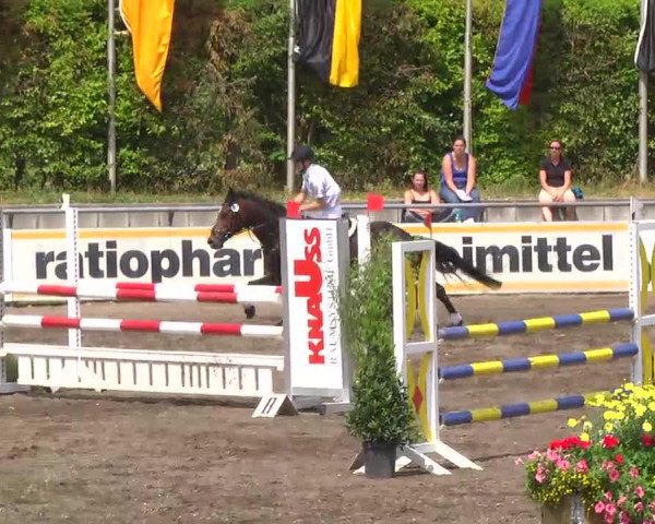 jumper Cyra 70 (Württemberger, 2001, from Carlsson G)