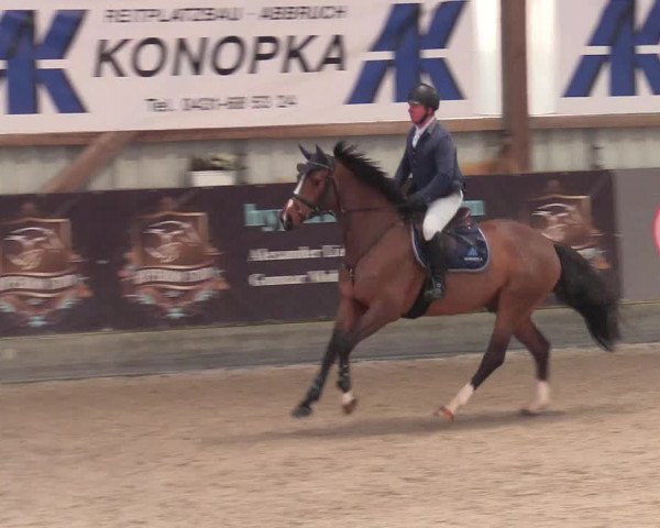 Reitturnier Negernbötel 2021, 9. Nordic Jumping event 2020/2021