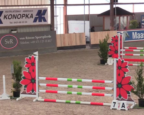 Reitturnier Negernbötel 2021, 9. Nordic Jumping event 2020/2021