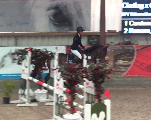 Reitturnier Negernbötel 2021, 9. Nordic Jumping event 2020/2021