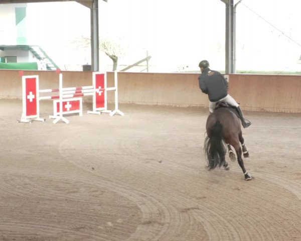 Reitturnier Lahr-Langenwinkel 2021