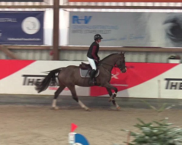 Reitturnier Negernbötel 2021, 9. Nordic Jumping event 2020/2021