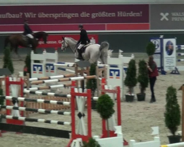 jumper Oskar 250 (Danish Warmblood, 2002, from Carano)