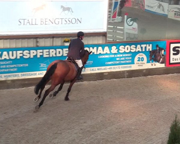 Reitturnier Negernbötel 2021, 9. Nordic Jumping event 2020/2021