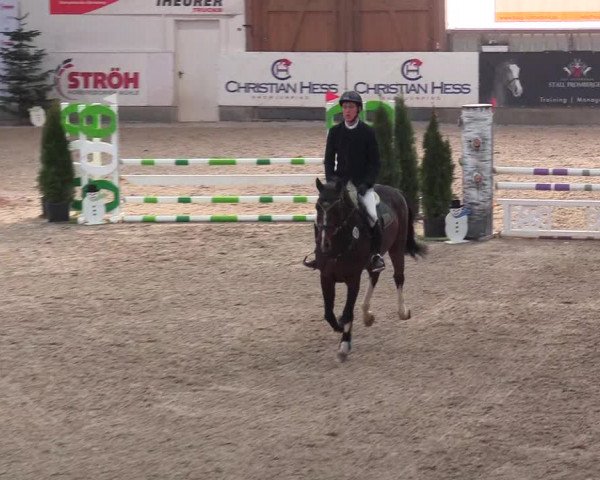 Reitturnier Negernbötel 2021, 9. Nordic Jumping event 2020/2021