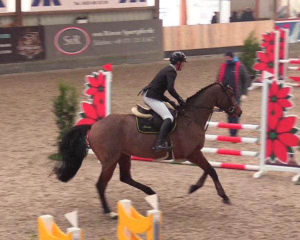 Reitturnier Negernbötel 2021, 9. Nordic Jumping event 2020/2021
