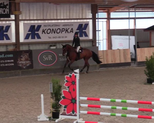 Reitturnier Negernbötel 2021, 9. Nordic Jumping event 2020/2021