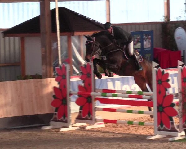Reitturnier Negernbötel 2021, 9. Nordic Jumping event 2020/2021