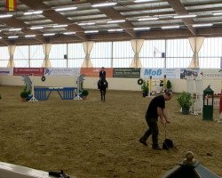 Springpferd Lordana 37 (Hannoveraner, 2006, von Lordanos)
