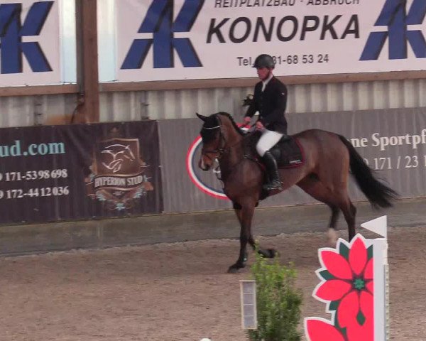 Reitturnier Negernbötel 2021, 9. Nordic Jumping event 2020/2021