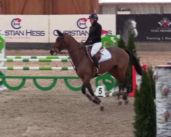 Reitturnier Negernbötel 2021, 9. Nordic Jumping event 2020/2021