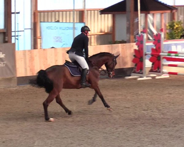 Reitturnier Negernbötel 2021, 9. Nordic Jumping event 2020/2021