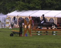 jumper Consordina (Westphalian, 2007, from Consens)