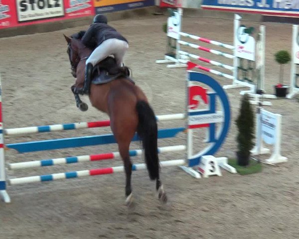 Reitturnier Negernbötel 2021, 9. Nordic Jumping event 2020/2021