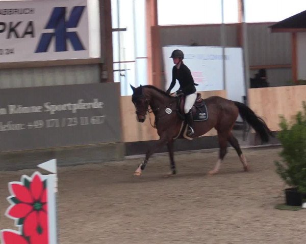 Reitturnier Negernbötel 2021, 9. Nordic Jumping event 2020/2021