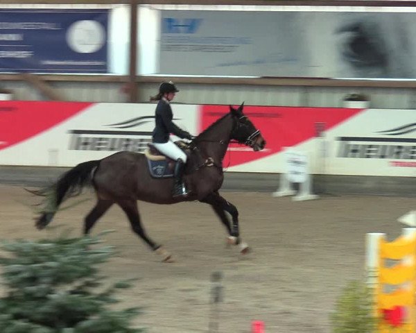 Reitturnier Negernbötel 2021, 9. Nordic Jumping event 2020/2021