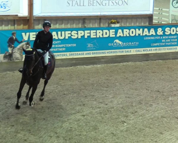 Reitturnier Negernbötel 2021, 9. Nordic Jumping event 2020/2021