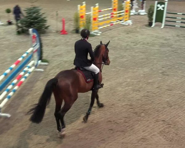 Reitturnier Negernbötel 2021, 9. Nordic Jumping event 2020/2021