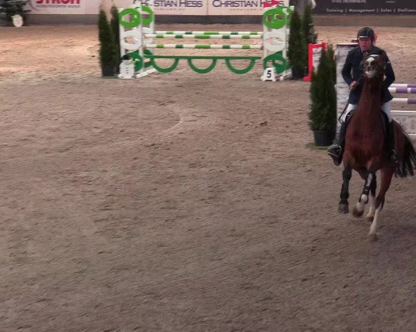 Reitturnier Negernbötel 2021, 9. Nordic Jumping event 2020/2021