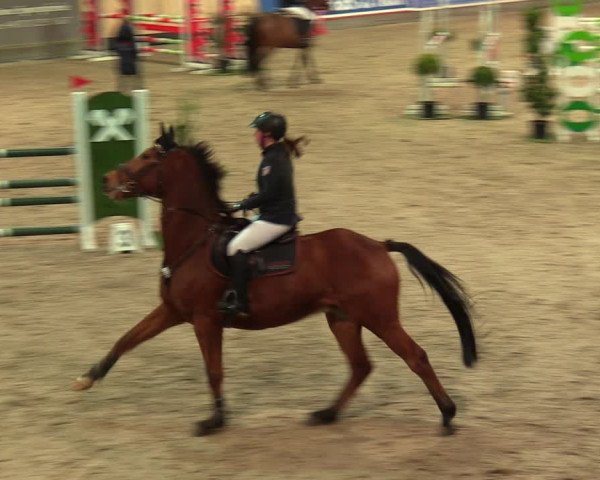 Reitturnier Negernbötel 2021, 9. Nordic Jumping event 2020/2021