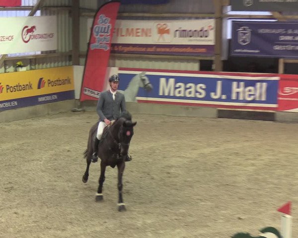 Reitturnier Negernbötel 2021, 9. Nordic Jumping event 2020/2021