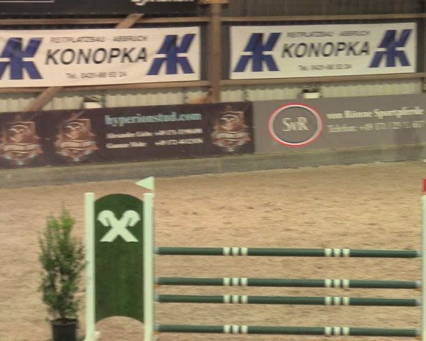 Reitturnier Negernbötel 2021, 9. Nordic Jumping event 2020/2021