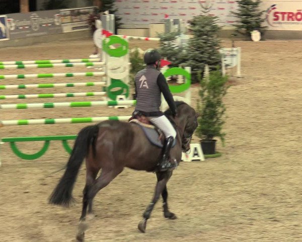 Reitturnier Negernbötel 2021, 9. Nordic Jumping event 2020/2021
