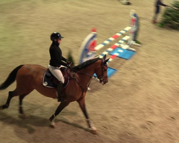 Reitturnier Negernbötel 2021, 9. Nordic Jumping event 2020/2021