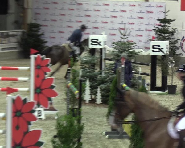 Reitturnier Negernbötel 2021, 9. Nordic Jumping event 2020/2021