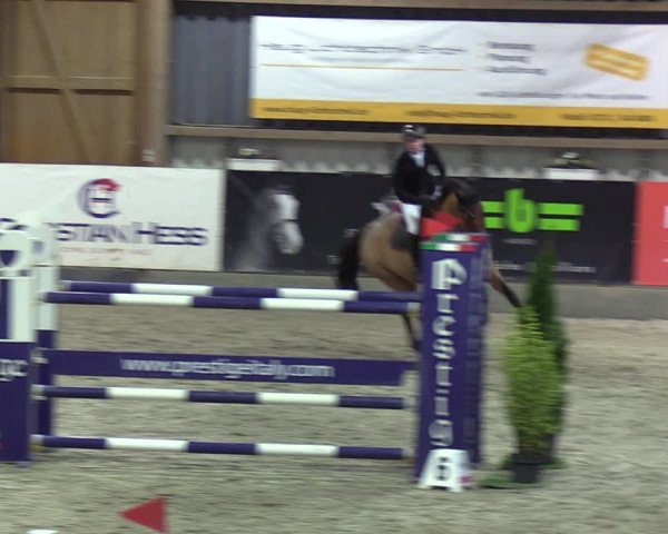 Reitturnier Negernbötel 2021, 9. Nordic Jumping event 2020/2021