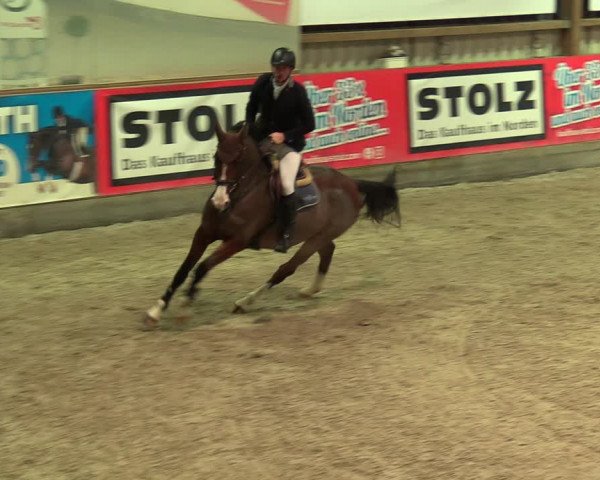 Reitturnier Negernbötel 2021, 9. Nordic Jumping event 2020/2021
