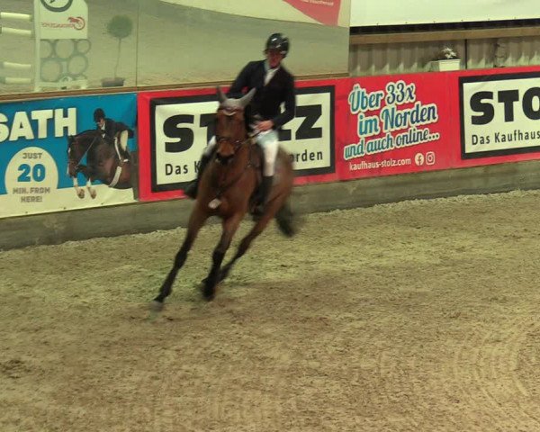 Reitturnier Negernbötel 2021, 9. Nordic Jumping event 2020/2021