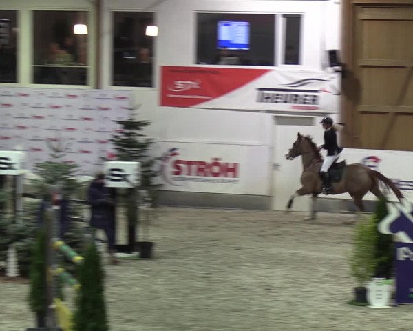Reitturnier Negernbötel 2021, 9. Nordic Jumping event 2020/2021