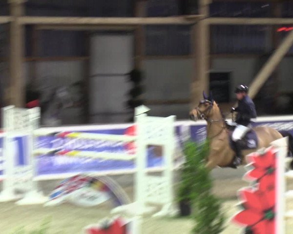 Reitturnier Negernbötel 2021, 9. Nordic Jumping event 2020/2021