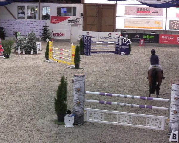 Reitturnier Negernbötel 2021, 9. Nordic Jumping event 2020/2021